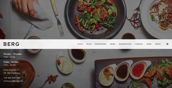 Berg - thiet ke website cafe mien phi