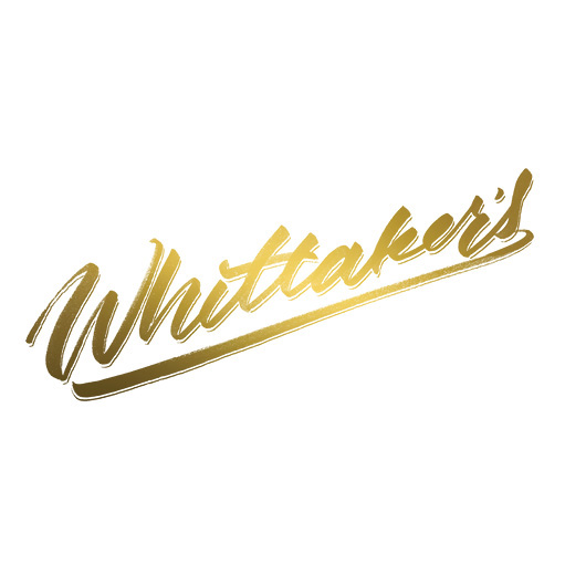 Khi các logo đình đám được nhái lại bằng phong cách vẽ tay Handwritten logo thiet ke logo cong ty 11