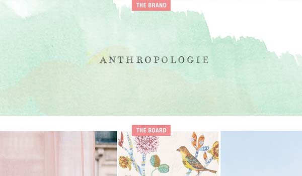 anthropologie thiet ke website dep