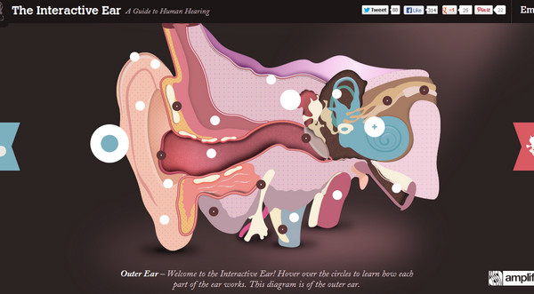 the interactive ear thiet ke web single page