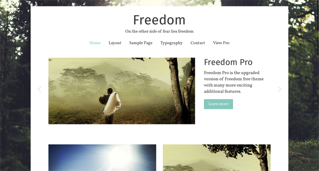 freedom thiet ke website Wordpress mien phi