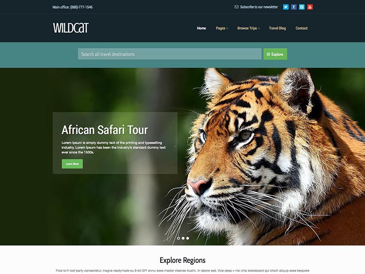 Wildcat thiet ke website du lich dep