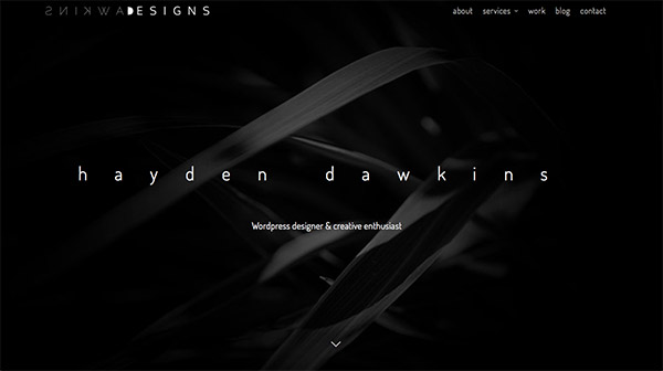 Hayden Dawkins thiet ke website den trang