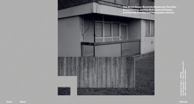 brutalhouse thiet ke website dep