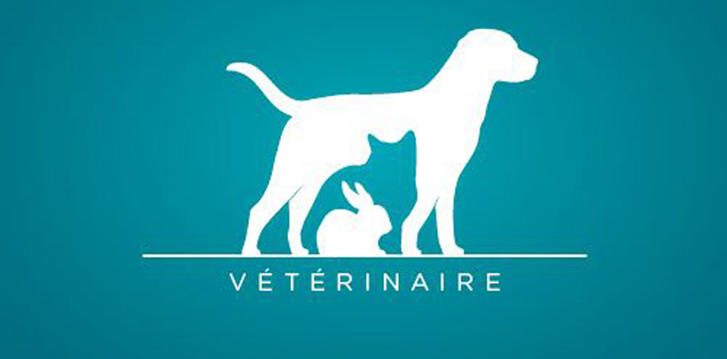 Xu hướng thiết kế logo nào đang thịnh hành năm 2015? veterinaire by Chris Sims Xu huong thiet ke logo moi