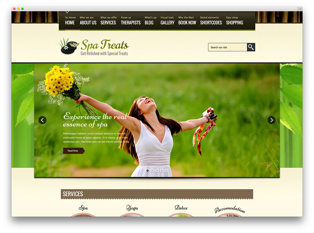 spa treats multipurpose theme thiet ke web khach san