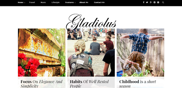Gladiolus---A-Responsive-WordPress-Blog Thiet ke website dep