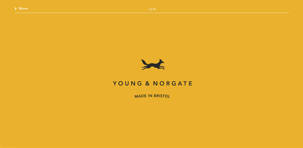 Young-&-Norgate trong thiet ke web