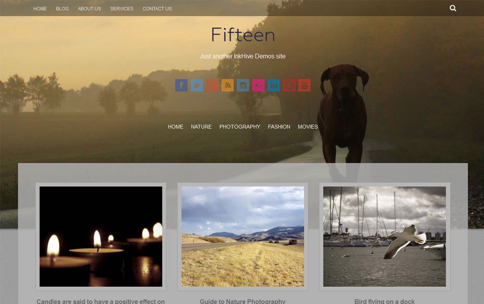 fifteen free portfolio wordpress theme thiet ke web