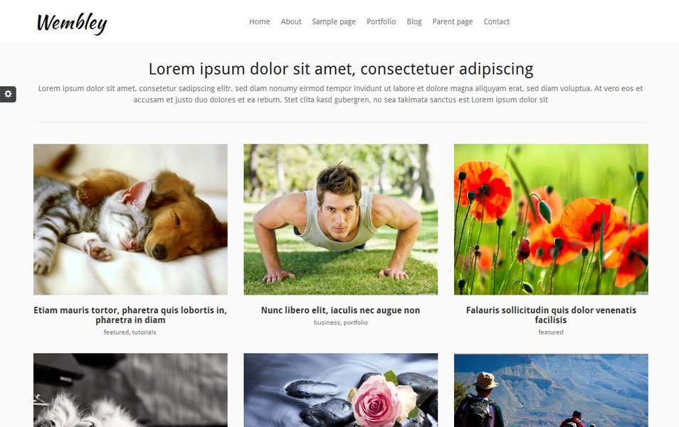 wembley free portfolio wordpress theme thiet ke web