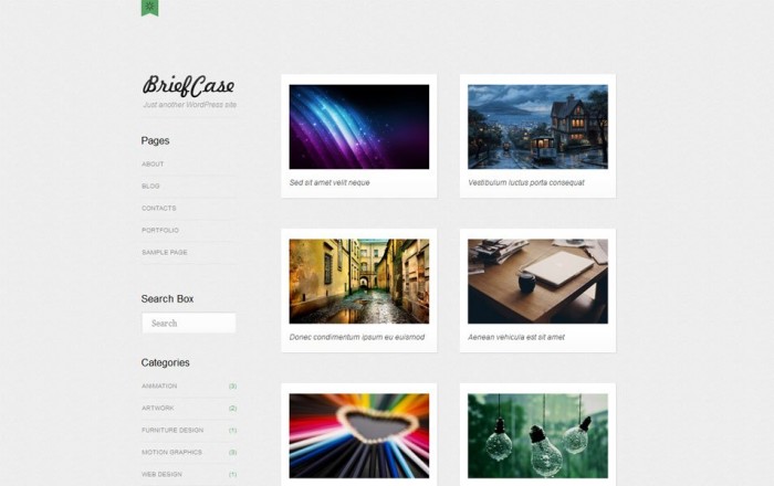 briefcase free portfolio wordpress theme e1419368800394 thiet ke web