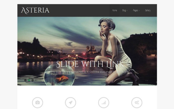 asteria lite free portfolio wordpress theme e1419371788980 thiet ke web