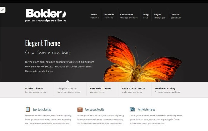 bolder free portfolio wordpress theme e1419455569259 thiet ke web