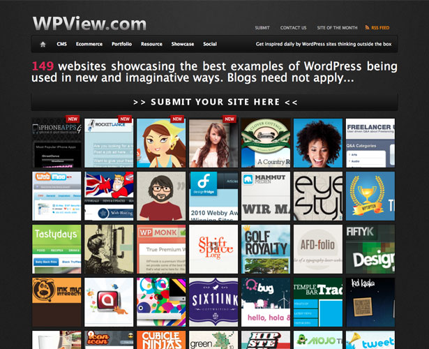 wpview thiet ke web