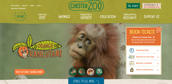 Chester-Zoo Hand-Drawn Website Designs thiet ke website dep