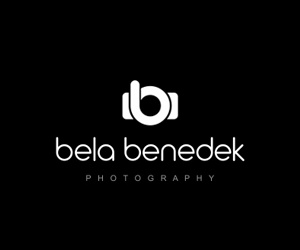 Bela Benedeck thiet ke logo dep