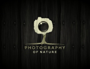 Photography of Nature thiet ke logo dep