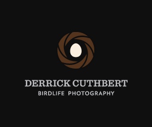 Derrick Cuthbert thiet ke logo dep