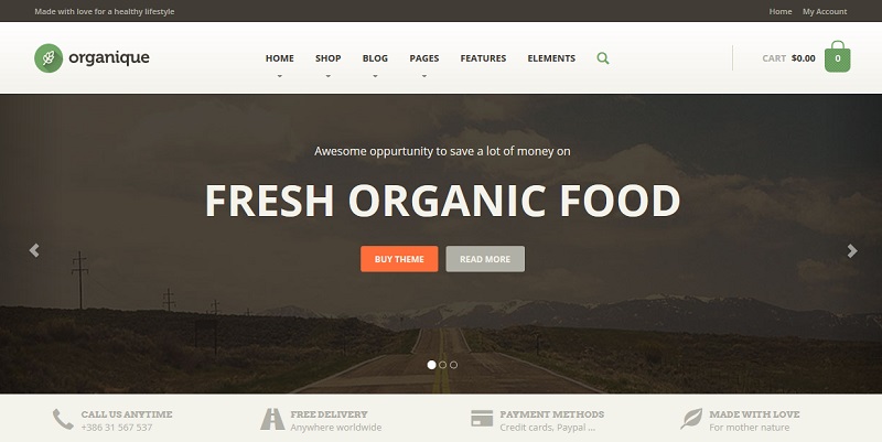 organic wordpress theme