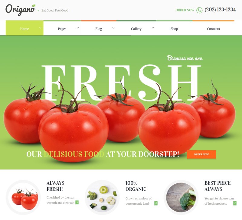 Origano - Organic Food Theme
