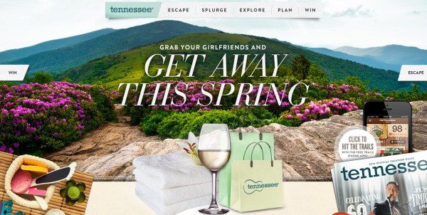 Những mấu thiết kế website ấn tượng Springrtime In Tennessee