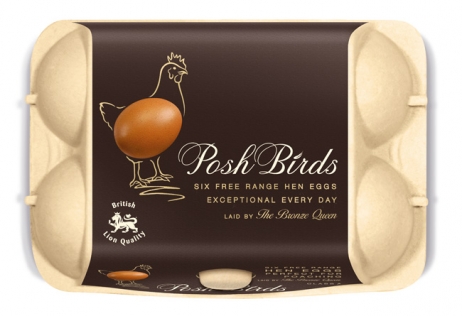 thiết kế bao bì sản phẩm trứng Posh Birds