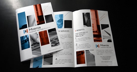 mẫu thiết kế nhận diện thương hiệu Moenia Bi Fold Brochure PSD