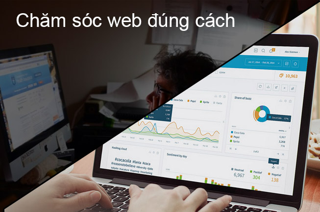 Chăm sóc website là gì