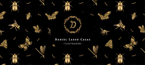 Daniel-Lasso-Personal-Brand-Identity