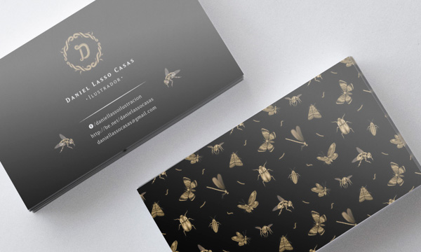 Daniel-Lasso-Personal-Brand-Identity