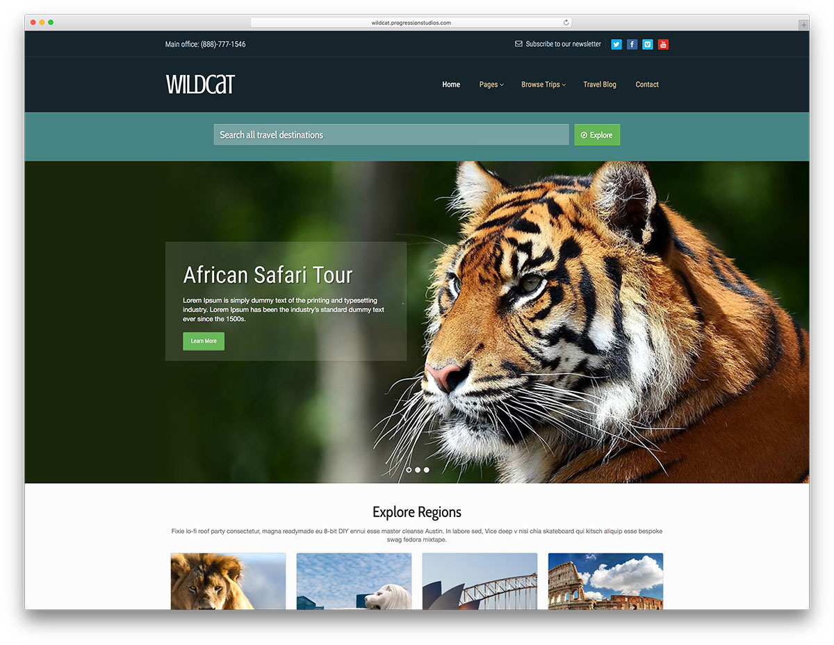 wildcat-travel-website-wordpress-website-template