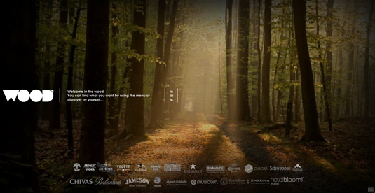 Video background trên website the wood