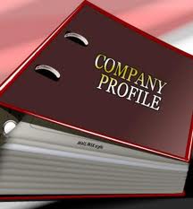 thiết kế profile, thiet ke profile, profile company, profile dep