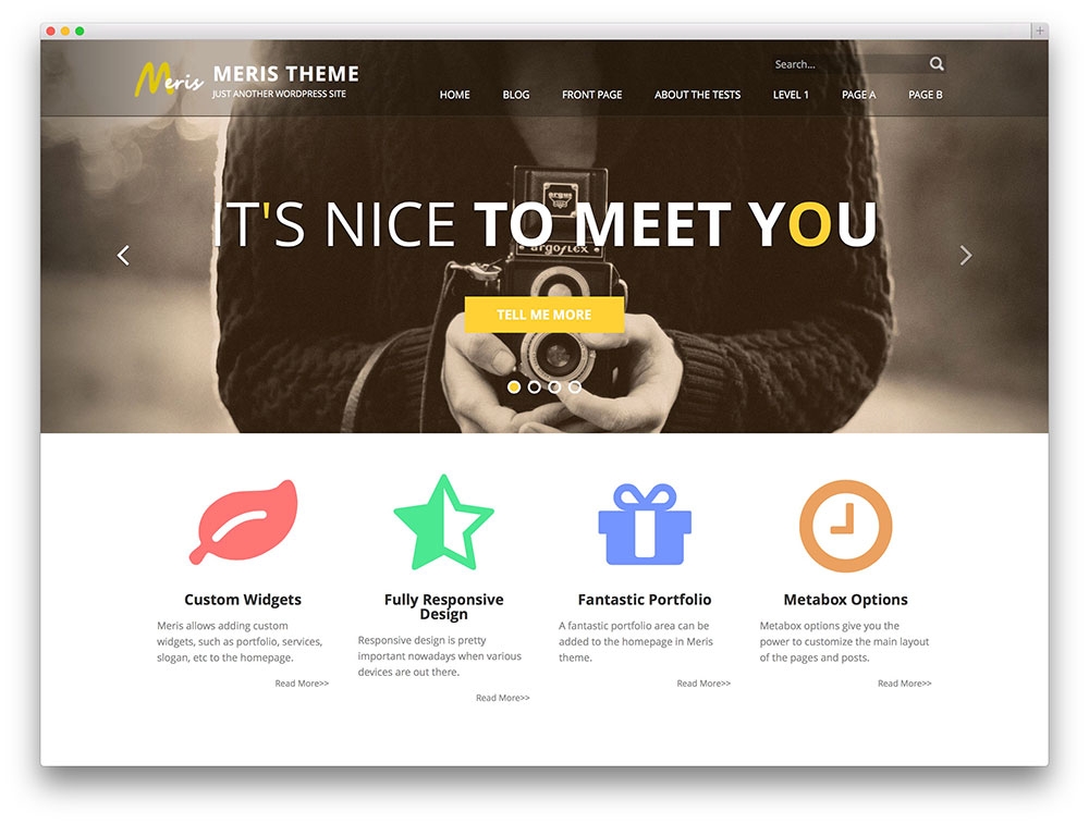 meris agency theme