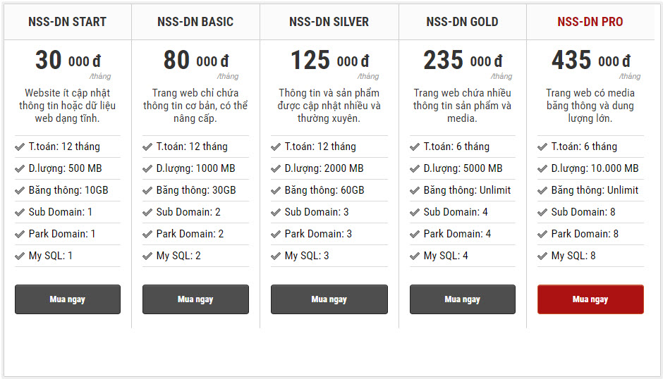 Ví dụ về các gói Hosting của các nhà cung cấp