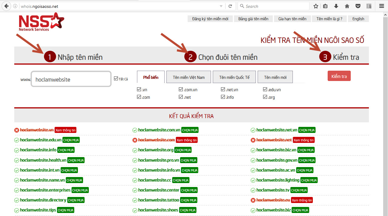 Kiểm tra tên miền