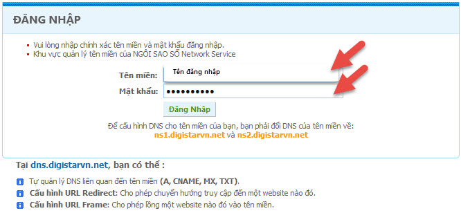 control panel dns