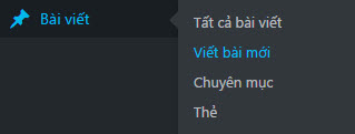 Viết bài mới wp