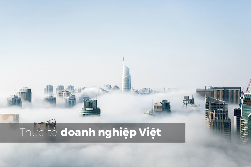 thuc te doanh nghiep viet