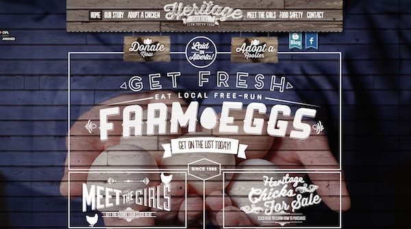 Đã mắt với những thiết kế web chủ đề ẩm thực food-related-websites-inspiration