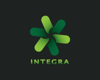 Integra Company Logo Design
