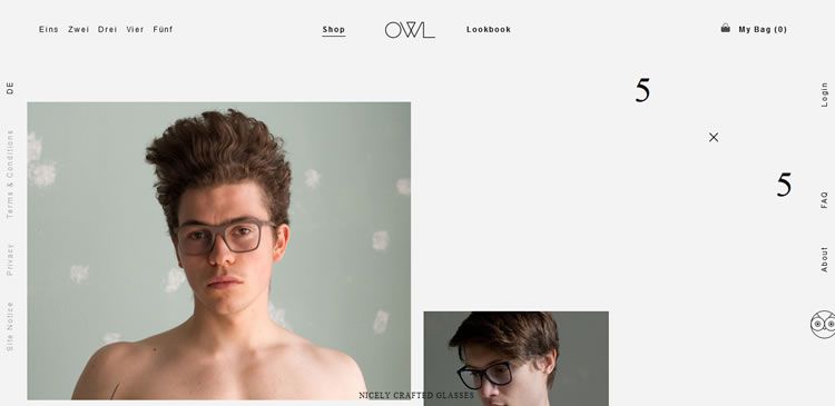 The OWL Shop website example of Ecommerce web design
