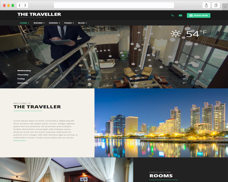 tim hieu mau thiet ke website du lich travel insurance va the traveller 2